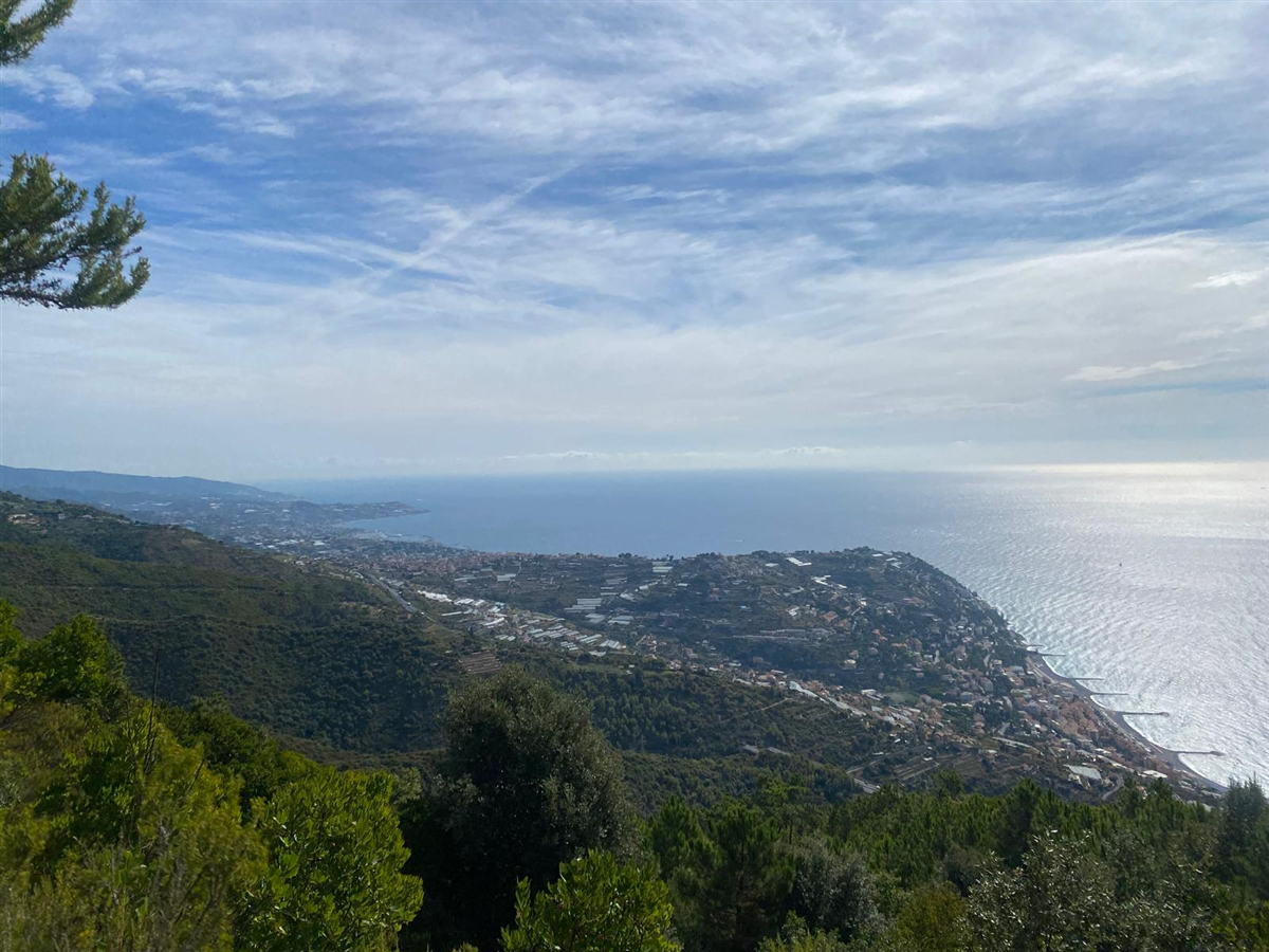 Passeggiate nei boschi 2025